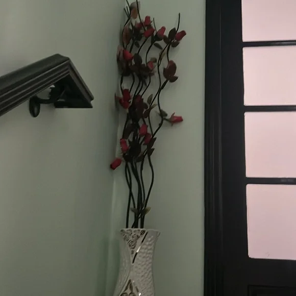 Plante - Picture 2 of 3